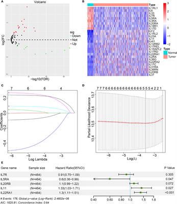 Clinical  Significance and Immunologic Landscape of a Five-IL(R)-Based Signature in Lung Adenocarcinoma